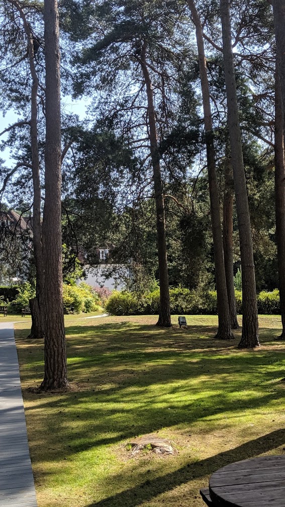 Woodland wedding at Gorse Hill