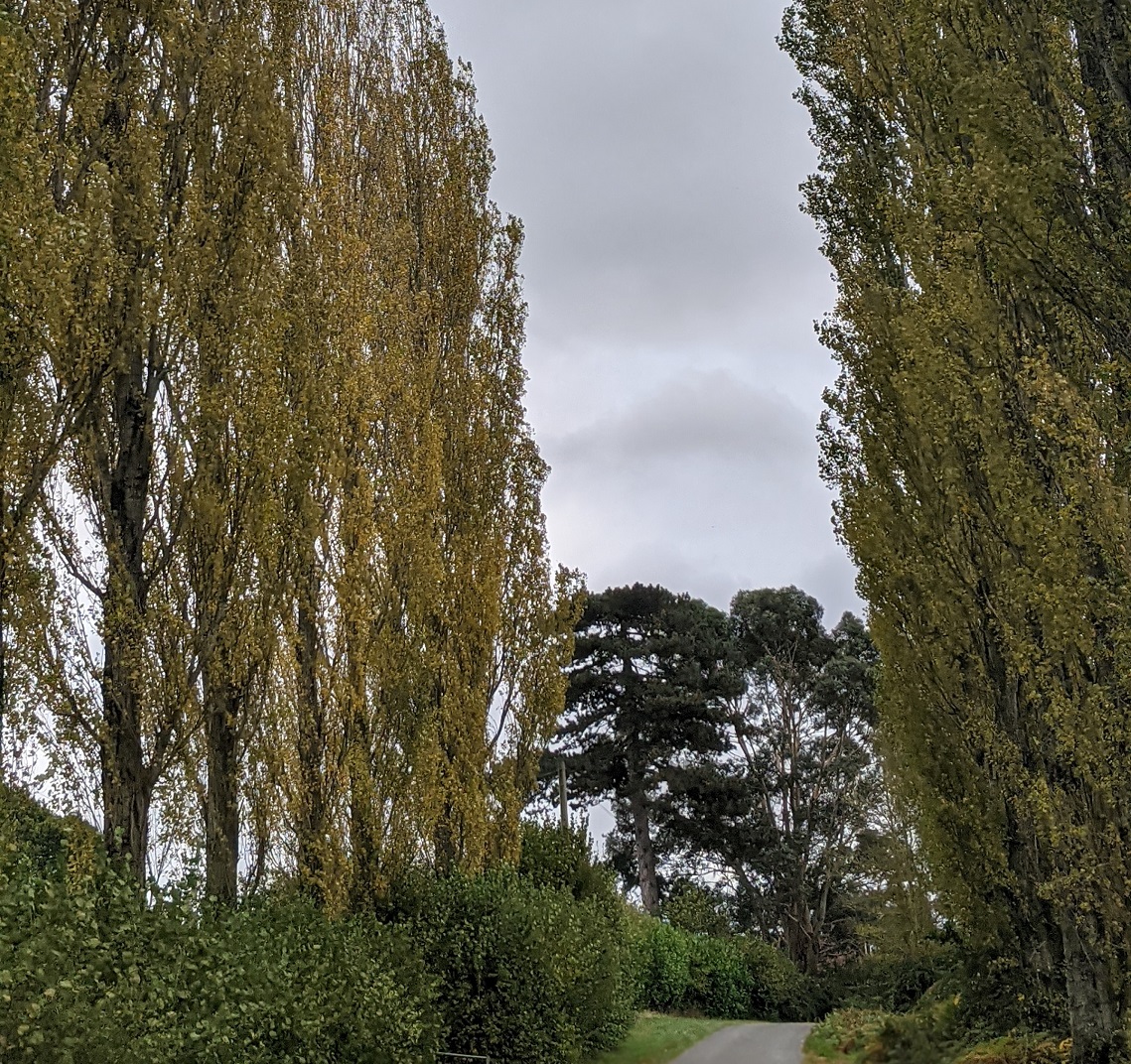 driveway to silchester farm