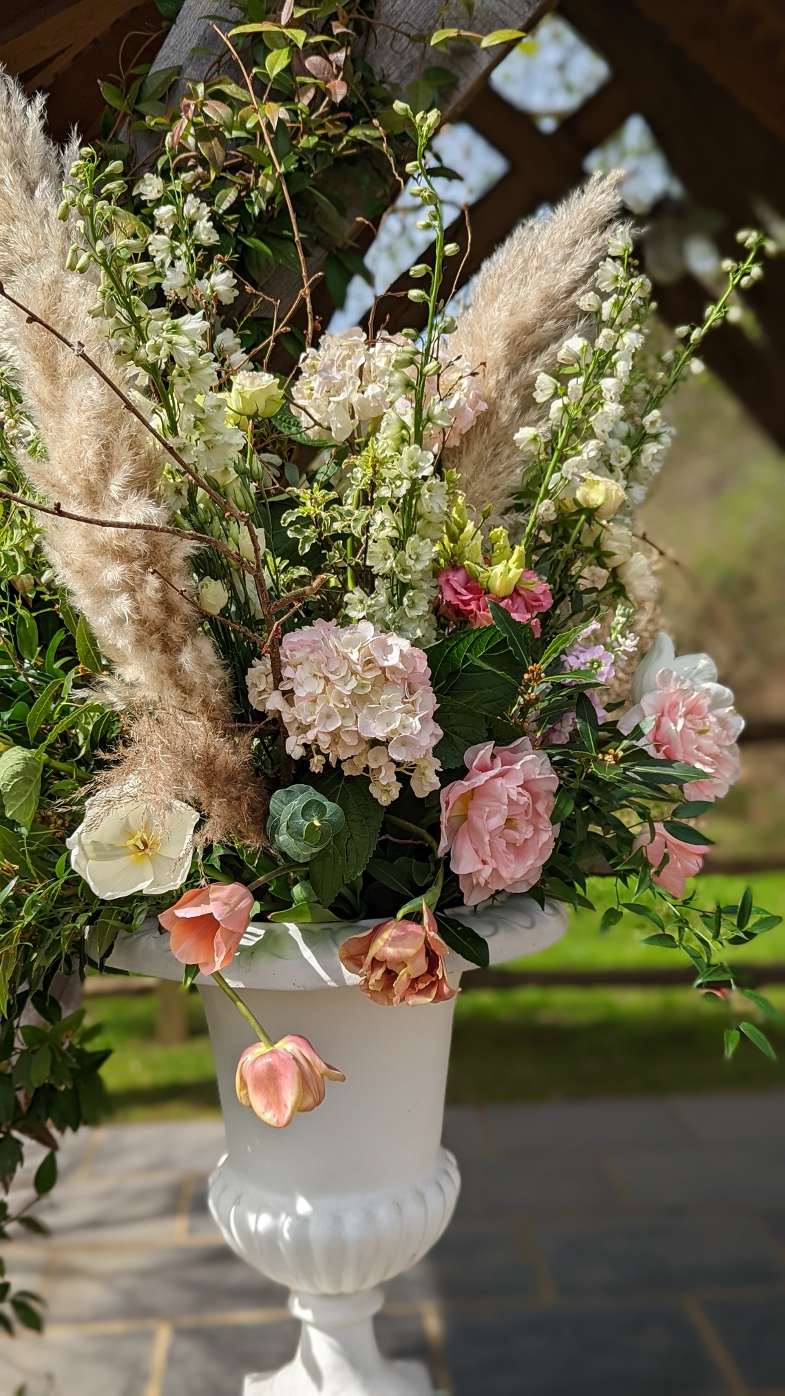 young blooms at millbridge court