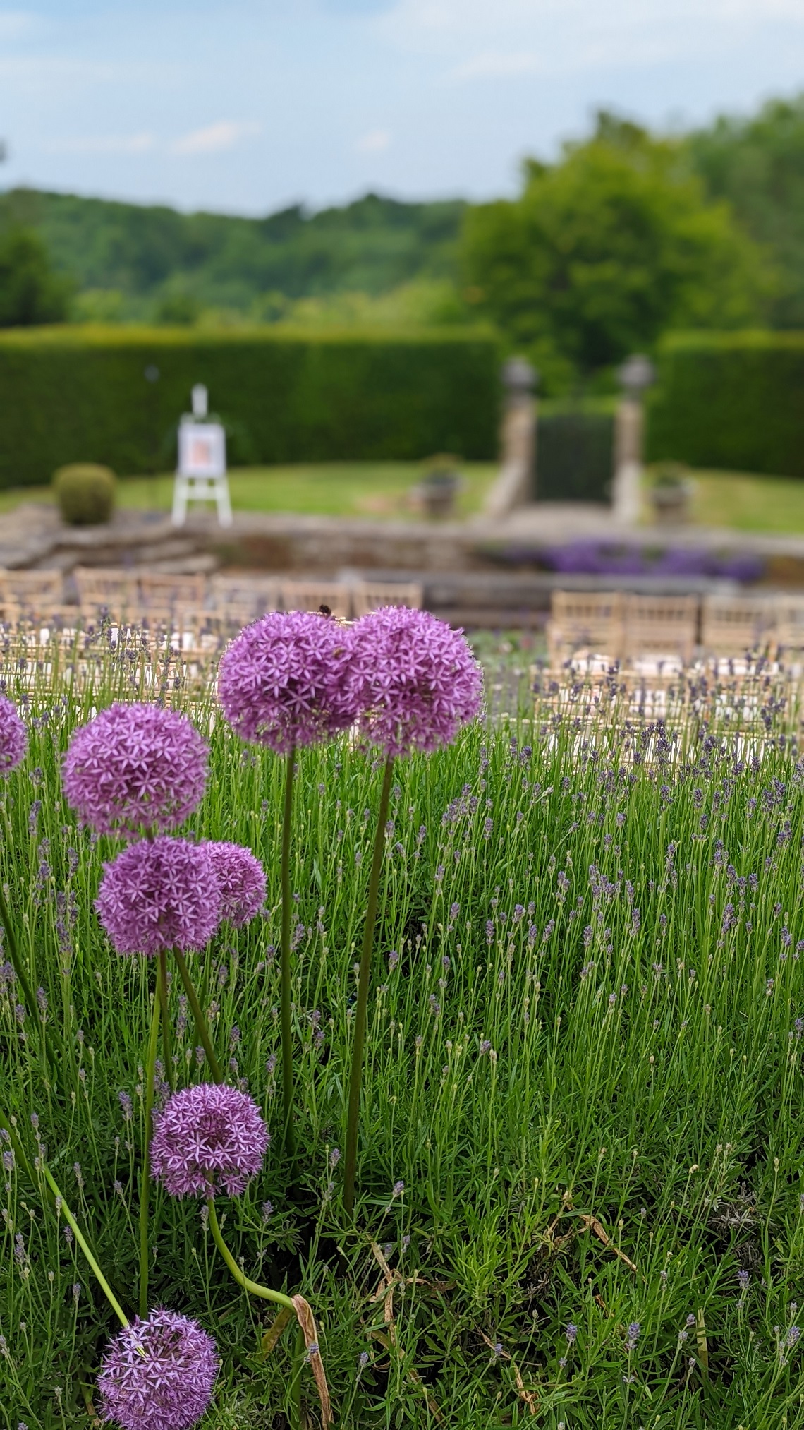 sunken garden