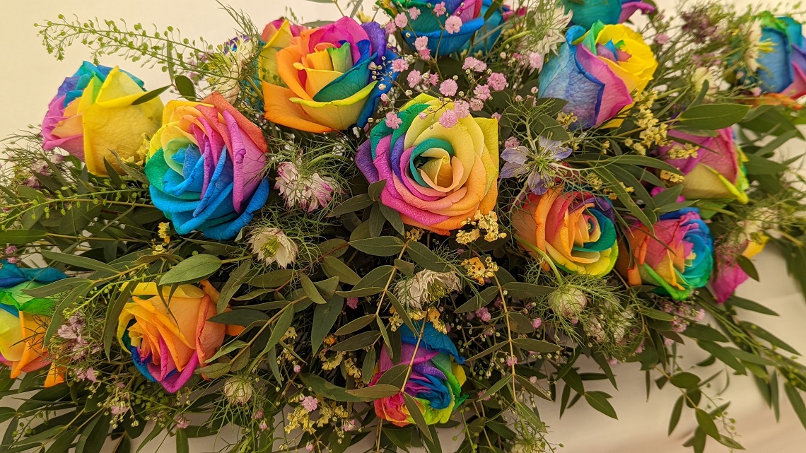 rainbow roses