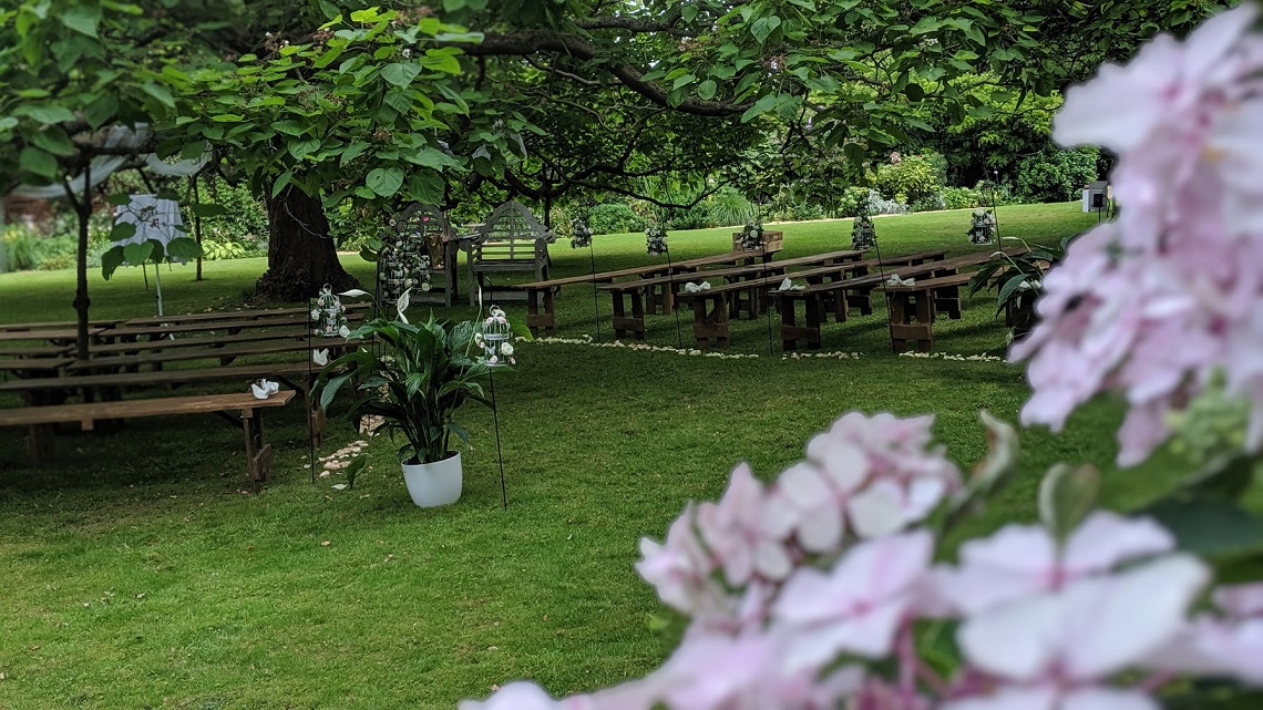 catalpa tree wedding