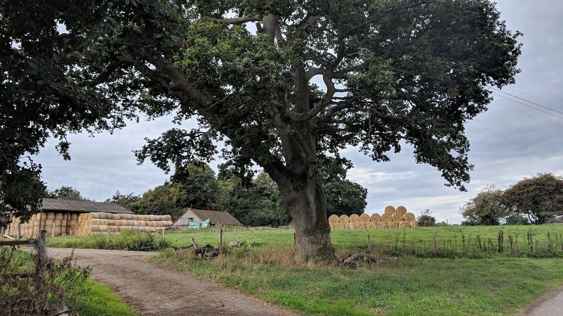 pierrepont farm wedding