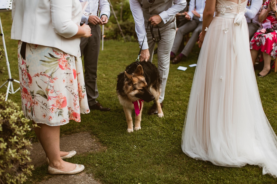 pets at weddings